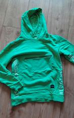 Hound hoody maat 164 groen, Ophalen of Verzenden, Gebruikt, Trui of Vest