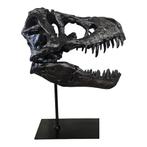 T-Rex Schedel op Standaard – Replica – 30cm, Ophalen of Verzenden, Gebruikt