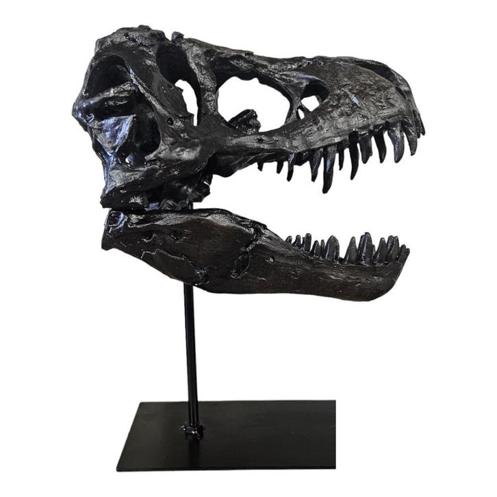 T-Rex Schedel op Standaard – Replica – 30cm, Huis en Inrichting, Woonaccessoires | Overige, Gebruikt, Ophalen of Verzenden