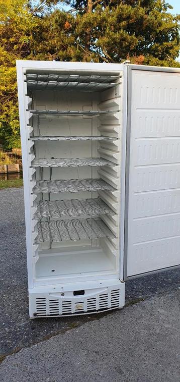 Grote vrieskast vriezer diepvrieskast Bezorging mogelijk  beschikbaar voor biedingen