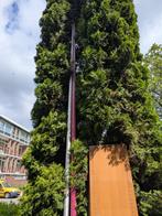 Mast / lange paal gratis voor windsurfen ?, Tuin en Terras, Palen, Balken en Planken, Ophalen, Gebruikt, 250 cm of meer, Palen
