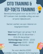 CITO training & IEP-toets training: groep 7 en 8, Bijles