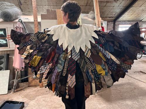 Twee arend pakken, Hobby en Vrije tijd, Kostuums, Theaterbenodigdheden en LARP, Gebruikt, Ophalen of Verzenden