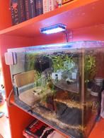 Aqua D'ella Urbyss R3. Nano Aquarium
30 liter., Dieren en Toebehoren, Vissen | Aquaria en Toebehoren, Ophalen of Verzenden, Gebruikt