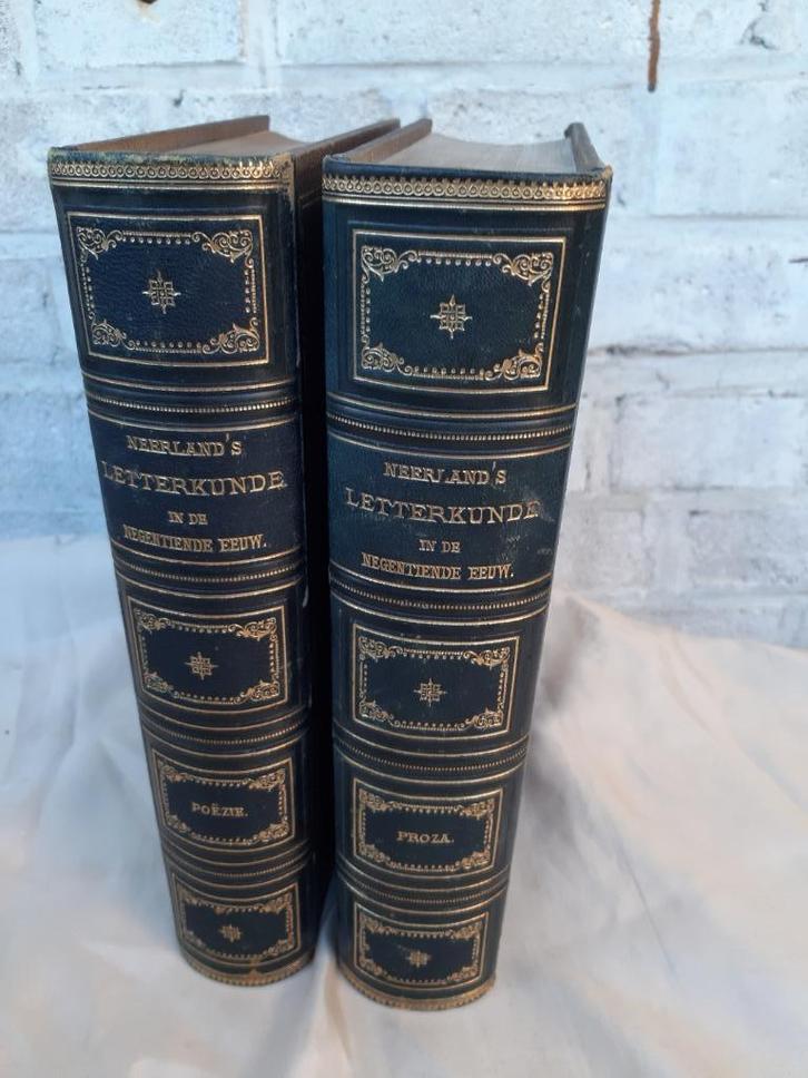 Nederlands letterkunde in de negentiende eeuw, bloemlezing, Boeken, Literatuur, Gelezen, Nederland, Ophalen