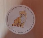 Katten Blik, Verzamelen, Ophalen of Verzenden, Gebruikt, Overige, Overige merken