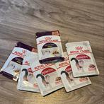 Royal canin wet food, Dieren en Toebehoren, Dierenvoeding, Ophalen of Verzenden
