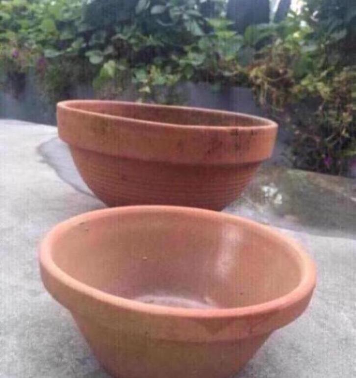 Lage cactus bloempotten diverse terracotta binnen en buiten, Tuin en Terras, Bloempotten, Zo goed als nieuw, Terracotta, Binnen