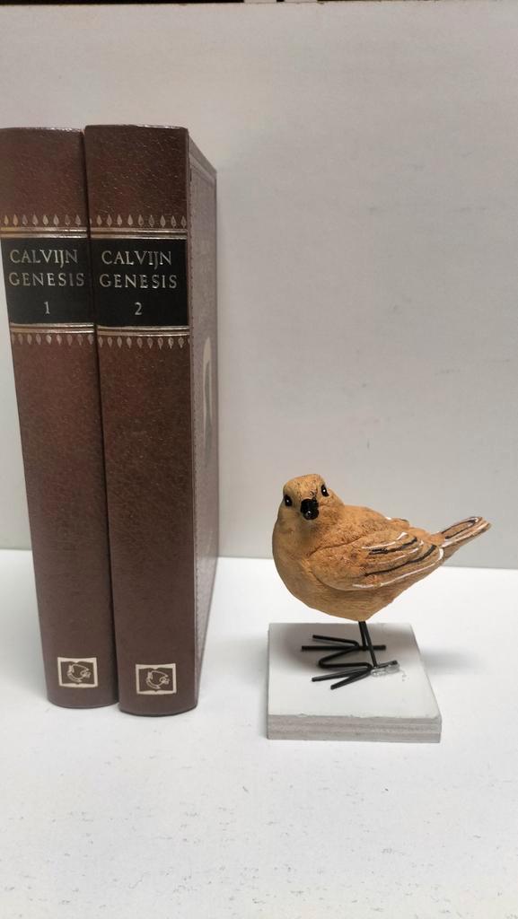 Calvijn, Joh.; Verklaring van de Bijbel:Genesis deel 1 en 2, Boeken, Godsdienst en Theologie, Gelezen, Christendom | Protestants
