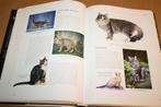 De grote katten encyclopedie., Boeken, Ophalen of Verzenden, Gelezen, Katten