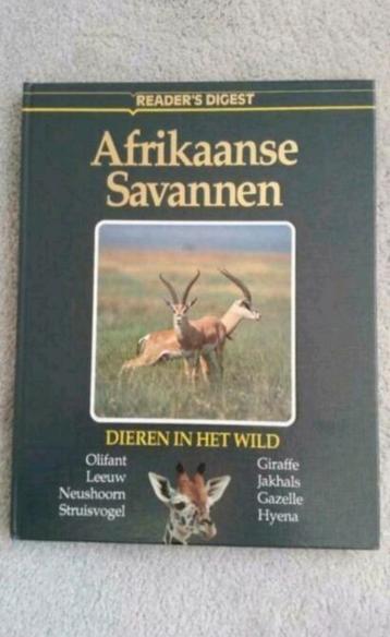 
De Afrikaanse Savannen en Bergen en Hoogvlakte.  beschikbaar voor biedingen