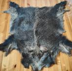 Vacht huid wildzwijn, Ophalen of Verzenden, Nieuw, Wild dier, Opgezet dier