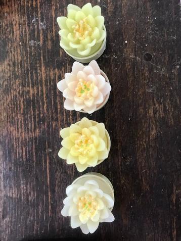 Drijfkaarsjes bloem NIEUW beschikbaar voor biedingen