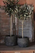 Prachtige sobere pot. Ideaal voor de olijfboompjes bloempot, Huis en Inrichting, Woonaccessoires | Overige, Www.jufbrocante.nl