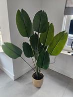 Kunstplant decoratie plant met Vaas, Huis en Inrichting, Kamerplanten, Ophalen, Halfschaduw, 150 tot 200 cm