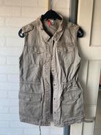 Bodywarmer, Ophalen of Verzenden
