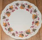 Doulton Indian Summer Bord - Jaren '50, Huis en Inrichting, Ophalen of Verzenden
