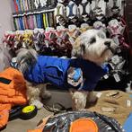 20% korting op hondenjassen en truien, Ophalen of Verzenden, Nieuw, Hondenjas