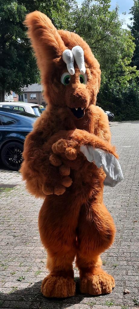 ** Fursuit, fullsuit, furry **, Hobby en Vrije tijd, Kostuums, Theaterbenodigdheden en LARP, Gebruikt, Ophalen