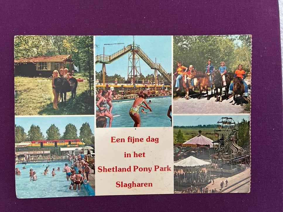 Shetland Pony Park Slagharen - Ansichtkaart, Ophalen of Verzenden, 1960 tot 1980, Gelopen, Overijssel