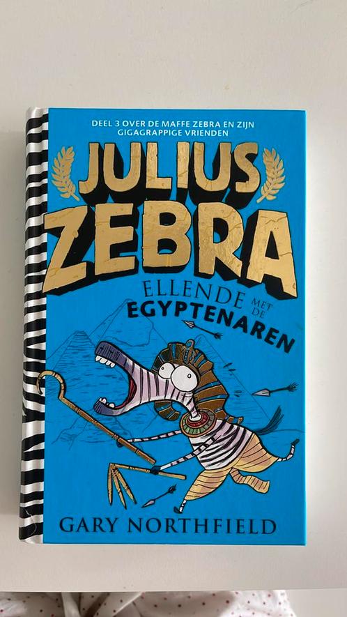 Gary Northfield - Ellende met de Egyptenaren, Boeken, Kinderboeken | Jeugd | onder 10 jaar, Zo goed als nieuw, Ophalen of Verzenden