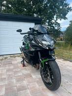 Kawasaki zh2, Particulier, Naked bike