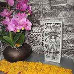 Testshot anti-paints dark alliance chastity mint in box, Ophalen of Verzenden, Nieuw