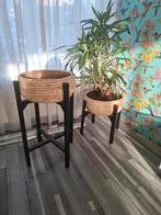 2 Nette rotan plantenmand met standaard, Ophalen, Gebruikt, Hout
