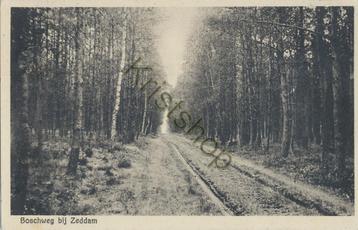 Zeddam - Boschweg [KRST007-4902 beschikbaar voor biedingen