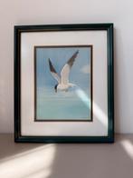 aquarel meeuw, Ophalen of Verzenden, Zo goed als nieuw, Hout, Minder dan 50 cm