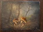 Schilderij met paddenstoelen, olieverf op doek, Antiek en Kunst, Ophalen of Verzenden