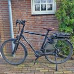 Elektrische Herenfiets - Pegasus Siena E7F, 55 tot 59 cm, Ophalen, 50 km per accu of meer