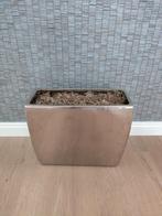 Mooie silver kleurige pot voor binnen, 25 tot 40 cm, Binnen, Ophalen of Verzenden, Zo goed als nieuw