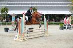 Sportpony met veel potentie, Dieren en Toebehoren, Merrie, Gechipt, Dressuurpony, 3 tot 6 jaar