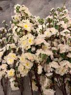 Bloesemtakken - (intratuin )10 stuks, Ophalen of Verzenden, Nieuw, Binnen