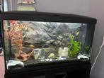 Aquarium 80x30x45, Dieren en Toebehoren, Ophalen, Zo goed als nieuw, Leeg aquarium