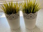 Te koop, leuke planten potjes. € 1,95, Ophalen of Verzenden, Zo goed als nieuw, Overige materialen, Minder dan 25 cm