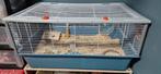 2 hamsters met 2 kooien en toebehoren en accessoires erbij., Dieren en Toebehoren, Meerdere dieren, Hamster, Voor 1 juli 2024