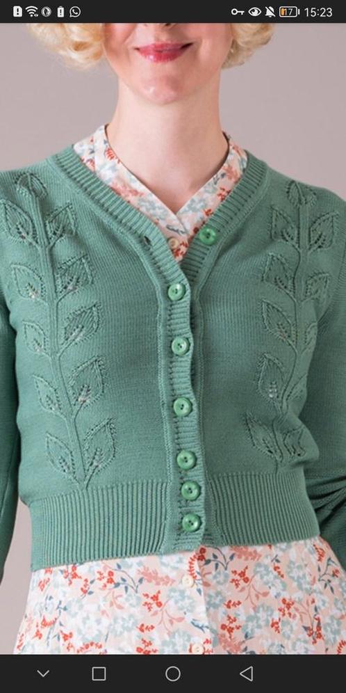 Groen vest Emmy design, Kleding | Dames, Truien en Vesten, Zo goed als nieuw, Groen, Ophalen of Verzenden