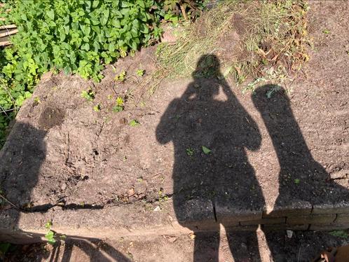 Gratis zwarte grond. Zelf eruit scheppen, Tuin en Terras, Aarde en Mest, Tuinaarde, Ophalen