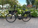 Dames elektrische fiets, Fietsen en Brommers, Fietsen | Dames | Damesfietsen, 50 tot 53 cm, Ophalen, Zo goed als nieuw, Overige merken