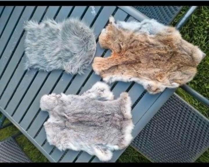6 x Konijnenvacht konijnen vachten konijn vacht vachtje bont, Huis en Inrichting, Woonaccessoires | Plaids en Woondekens, Nieuw