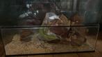 Mooi terrarium, Zo goed als nieuw, Hok, 75 tot 110 cm, Ophalen