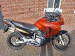 Honda Transalp xl650v RD11 2005 met valbeugels, Ophalen, Gebruikt