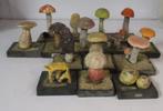 collectie antieke modellen paddestoelen uit school 30, Antiek en Kunst, Curiosa en Brocante, Verzenden