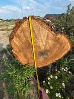 Eiken boomstam 6 meter lang, Doe-het-zelf en Verbouw, Hout en Planken, Ophalen, Eiken, Overige typen, Zo goed als nieuw