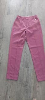HARPER & YVE pantalon in donkerroze, maat S, Nieuw, Ophalen of Verzenden, Roze, Maat 36 (S)