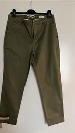 Maison scotch regular chino broek pantalon 30/30, Maat 38/40 (M), Zo goed als nieuw, Lang, Groen
