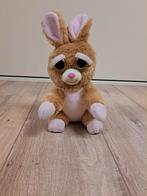 Feisty Pets Konijn - Schattig & Boos!, Ophalen of Verzenden, Zo goed als nieuw, Konijn