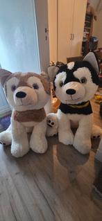 Grote Husky Knuffel - 1 Meter!, Kinderen en Baby's, Ophalen of Verzenden, Zo goed als nieuw, Hond